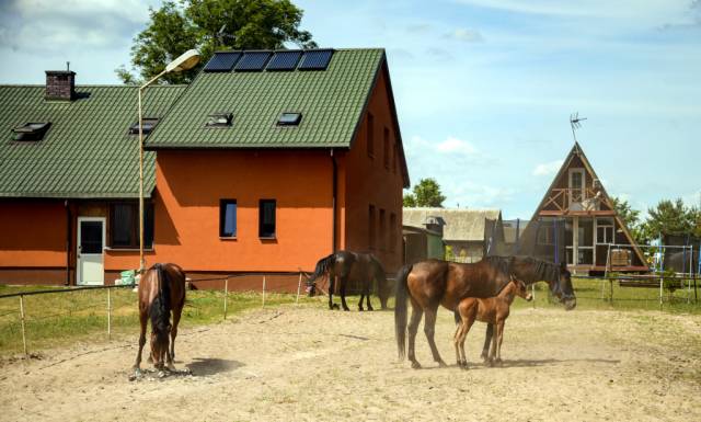 Gospodarstwo Agroturystyczne „Nad Krzną u Kropki”